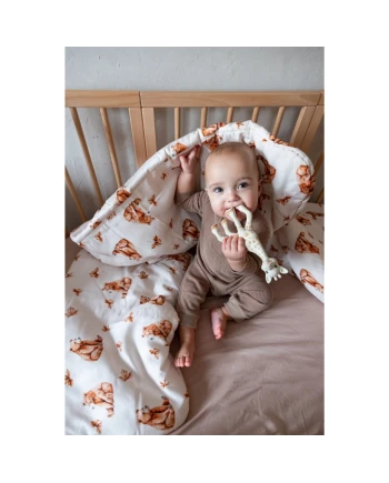 Bamboo baby duvet Bears many sizes