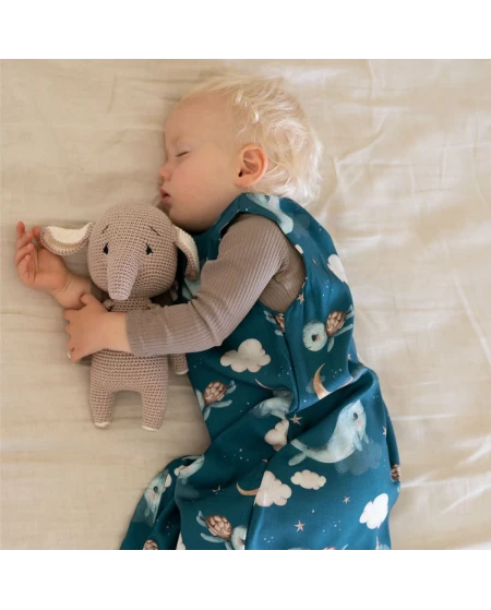 Bamboo Baby Sleeping Bag 0–6 Months | Soft & Breathable | Waldin